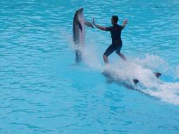 Resize of P21010094.JPG